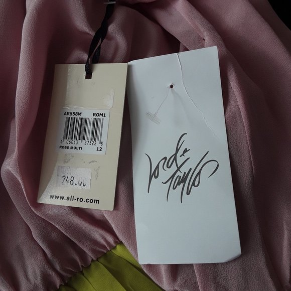 NWT  LORD & TAYLOR ALI-RO SILK SPECIAL OCCASION DRESS SZ 12 - Picture 8 of 9